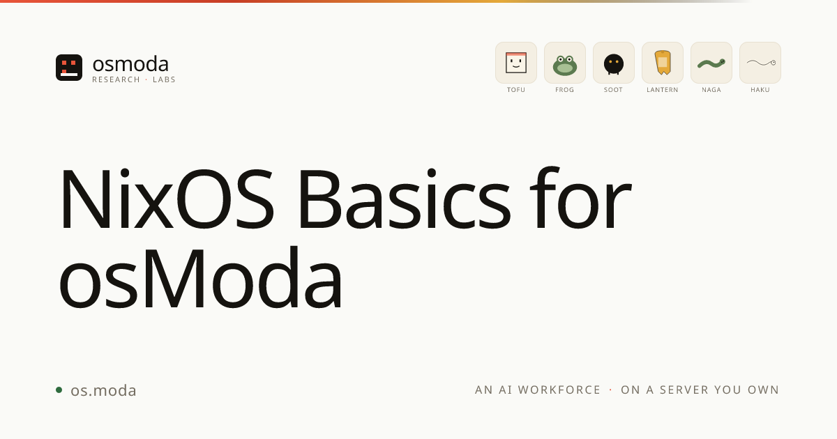 NixOS Basics for osModa Users | Guide